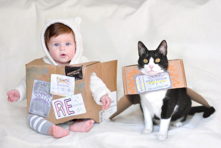 amazon_boxtroll_emi_full