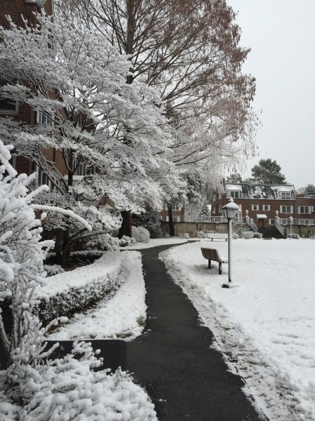 Photo Feb 05, 10 09 55 AM