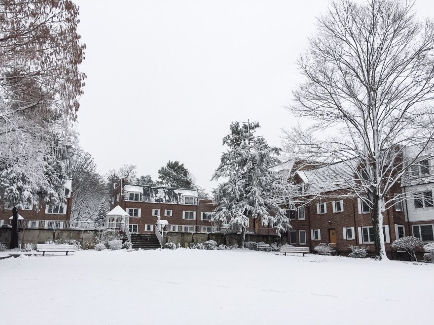 Photo Feb 05, 9 56 50 AM