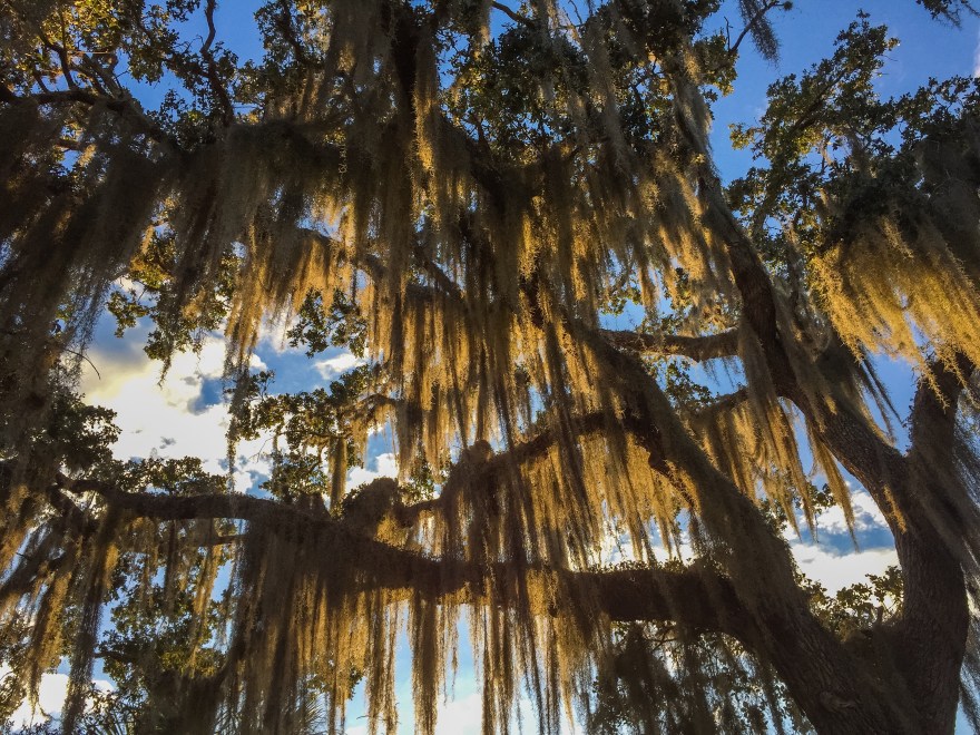 Photo Feb 22, 5 39 20 PM